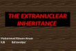 Extra Nuclear Inheritance