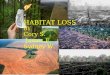 Habitat loss