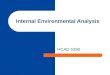 Chapter 2   internal environmental analysis