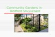 Community gardens project