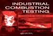 Industrial Combustion Testing(Charles E.)
