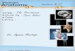 Anatomy, Lecture 11, The Peritoneum (Lecture Notes)