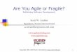 Are You Agile or Fragile - Scott W. Ambler