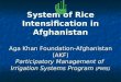 0847 System of Rice Intensification in Afghanistan