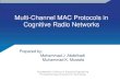 Multi Channel Protocols In  Cognitive Radio Networks