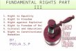 Fundamental rights part iii