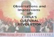 Cultural revolution program by