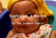 Sophia At 4 Months