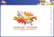 Levelup Studio Profile 2011