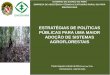 Dia 2 - Estratégias de politicas públicas para uma maior adoção de sistemas agroflorestais - Paulo Augusto Lobato da Silva