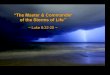 Sermon Slides: "The Master & Commander Of The Seas Of Life" (Luke 8:22-25)