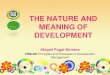 The Nature and Meaning of Development