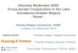 eSociety Bodensee 2020: Cross-border Cooperation in the Lake Constance Greater Region