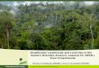 Smallholder livelihoods and land use in the Eastern Brazilian Amazon: Lessons for REDD+ from Proambiente