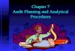 Audit planning and analytical procedures (jzanzig auditing ch 7 lecture)