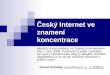 Czif2008 český internet v uplynulém roce