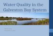 Water quality in the galveston bay system