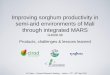 GRM 2013: Improving sorghum productivity in semi-arid environments of Mali through integrated MARS: Products, challenges & lessons learnt -- J-F Rami