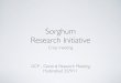 GRM 2011: Sorghum Research Initiative progress report