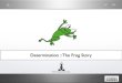 Determination :: The frog story