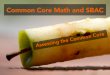 CCSS Math and SBAC Assessments: Assessing the Common Core, Grades 7-8