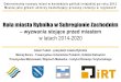Rola miasta Rybnika w Subregionie Zachodnim, a także wyzwania stojące przed miastem w latach 2014-2020