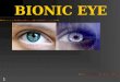 Bionic-eye Org PPT