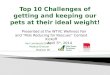 Top 10 challenges of getting and keeping pets their ideal weight!
