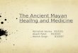 Mayan civilization healing and medicine