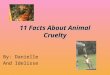 11 Facts About Animal Cruelty 4 English
