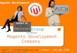 Magento Development Company, PSD to Magento, Magento Customization