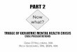 CASE STUDIES: Navigating new routes to improved mental health care