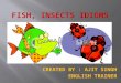 Fish, insects idioms