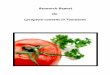 Lycopene Content in Tomatoes