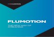 Flumotion Presentación Corporativa (Spanish)