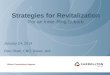 Carrollton's revised strategies for revitalization