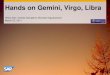 Gemini WEB and Virgo