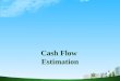 Cash flow estimation ppt @ bec doms on finance