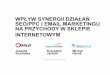 Wpływ synergii działań SEO/PPC i email marketingu na przychody w sklepie internetowym