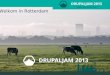 Drupaljam 2013 rotterdam opening