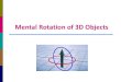Mental rotation of 3D Objects