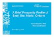 Brief Prosperity Profile Of Sault Ste. Marie