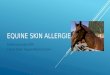 Equine skin allergies