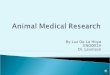 Animal Medical Research Presentation