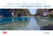 EMC CIO Connect - What CIOs Need to Know to Capitalize on Business Data lakes
