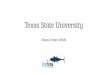 BigTuna Interactive Texas State Mass Comm Presentation