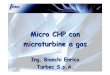 BIANCHI TURBEC Microturbina Gas Biogas Biomassa