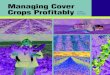 Cover Crops Managing