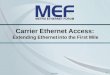 Carrier Ethernet in the Access