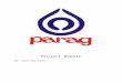 Project Parag